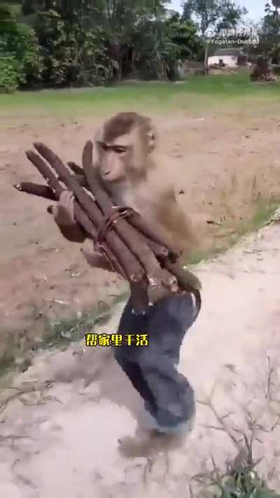 Подобрали