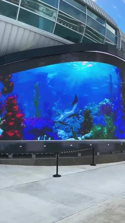 That looks pretty damn realistic..😍