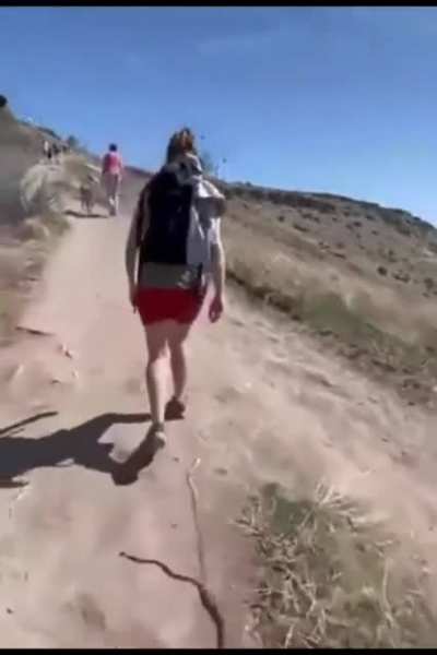 Snake snake snake!