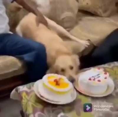 It was all an Act!