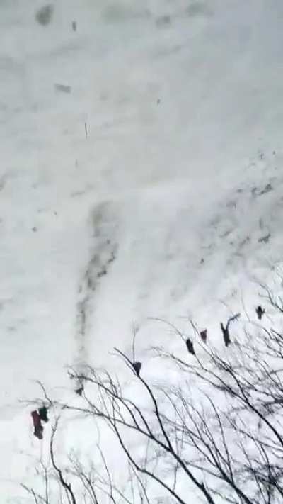 HMFT after I kiss a tree