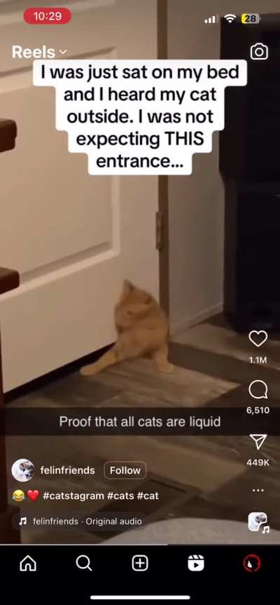 Instagram reels