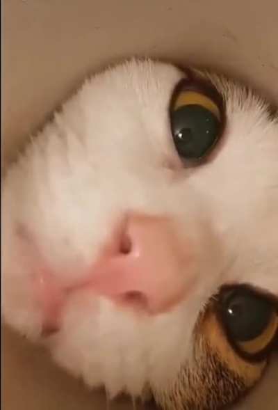 Hello ! is anyone there?