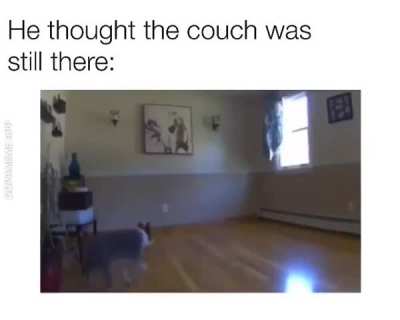 where&rsquo;s our couch?