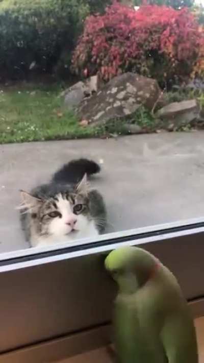The Ultimate Hide &amp;amp; Seek