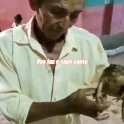 O sapo vai cantar