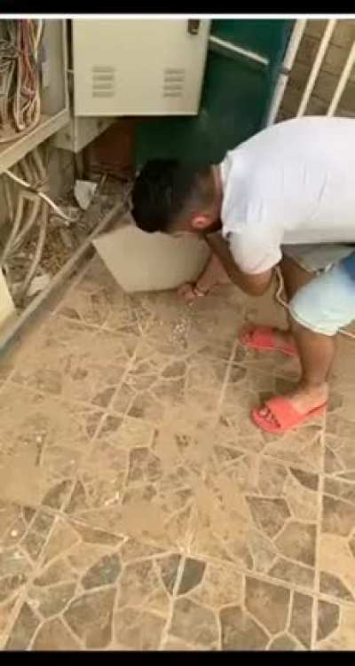 Harmless pranking