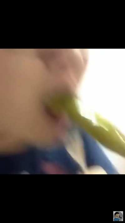 "Why do anime girls eat like this" -ProZD