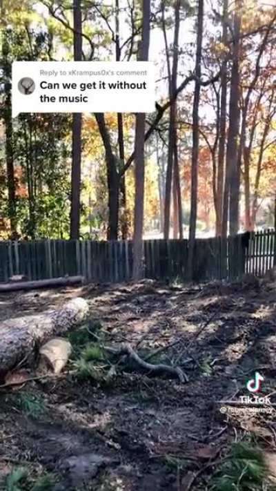 My cousin&rsquo;s buddy can do it for cheap.