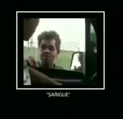sarigue