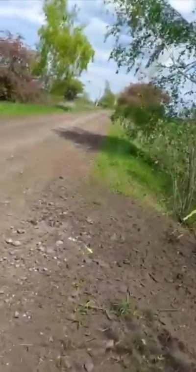 Ambush