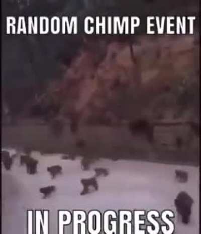 It begins