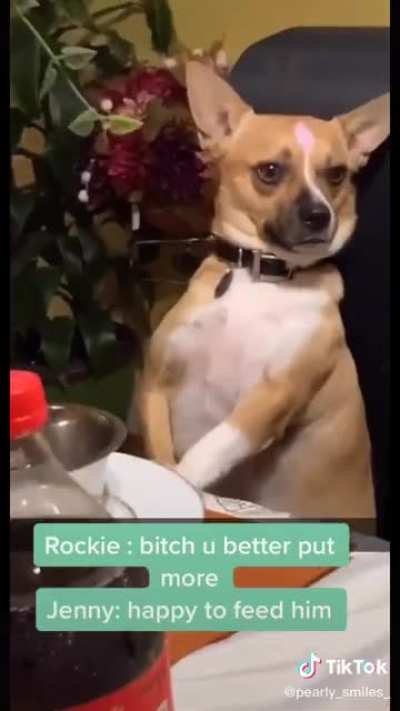 He&rsquo;s so polite
