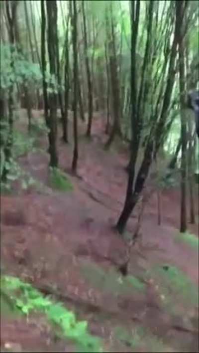 WCGW if you swing on a homemade zipline