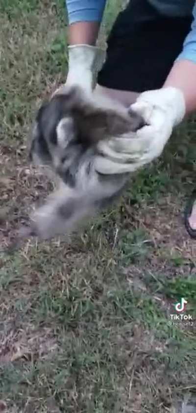 AAAAA-