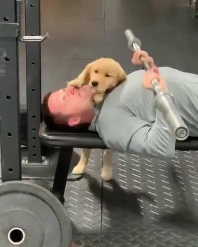 To workout