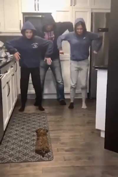 Tuliki taka ta