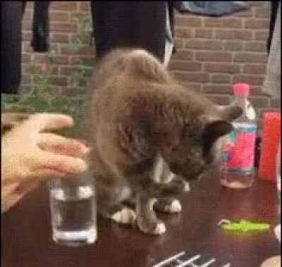 Эээ, на место вернул да?!