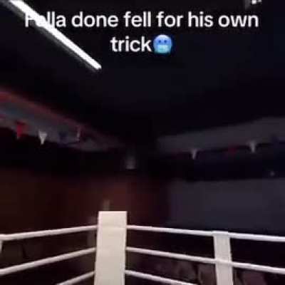 Drake the type