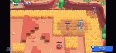 Sneak 100