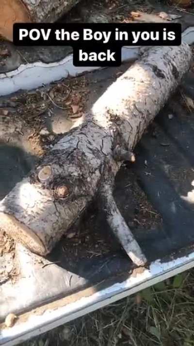 All set and go