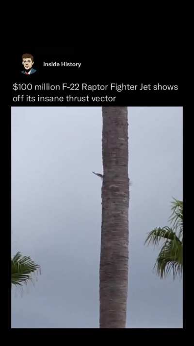 Fighter jet shows off its insane thrust vector