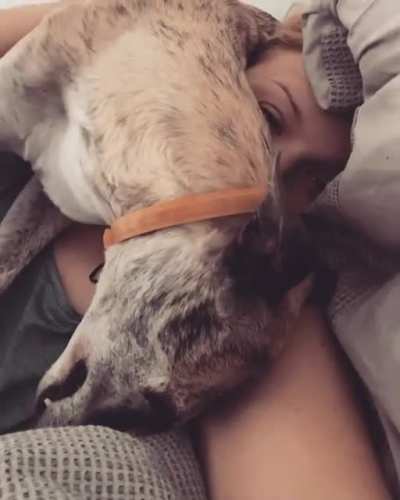 Mornings with Ellie