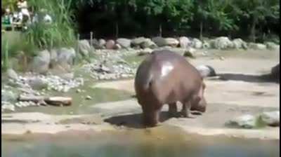 A massive shart