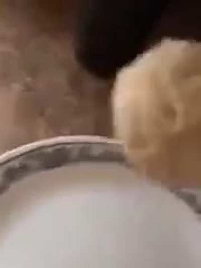 Aaaaah !
