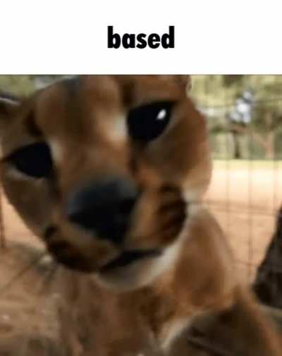 based