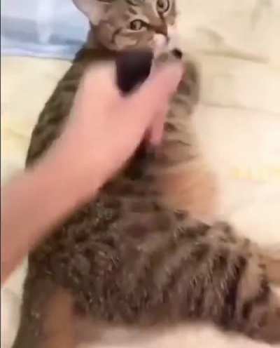 Title