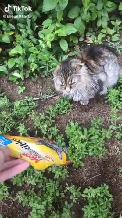 I hope this counts