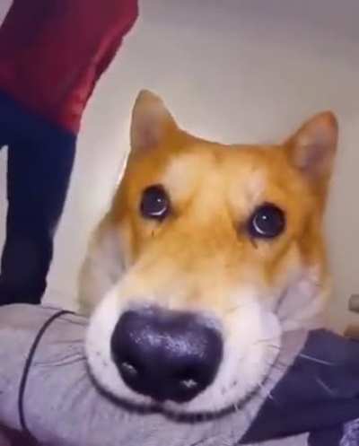 Aaaaaaaahhhhhhh