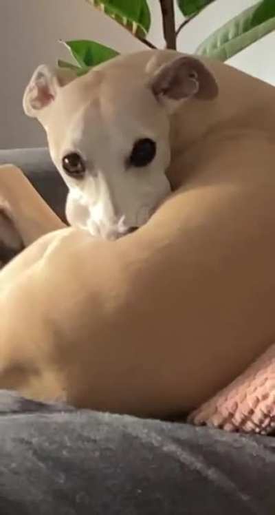 Just chillin&rsquo;