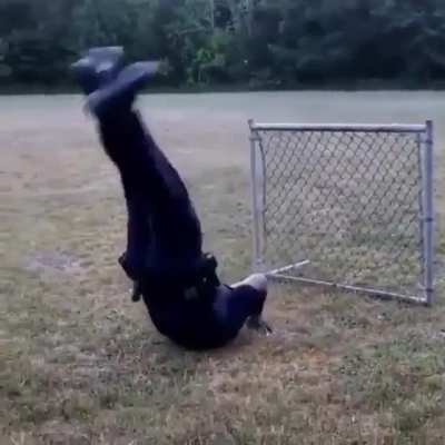 Different ways of hoping over a fence