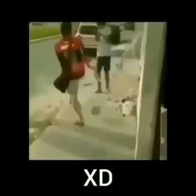 medio gracioso el muchacho xd