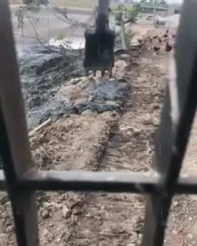 Awesome dude