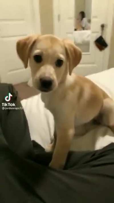 &ordf;