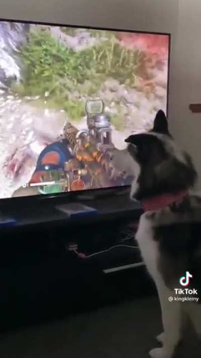 Dog: O.O