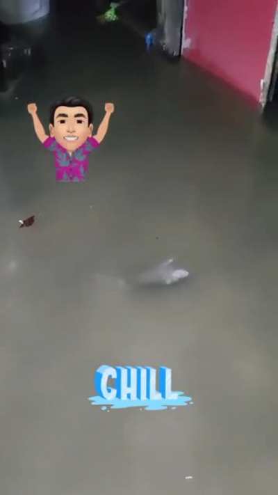 Omaigo el uriel nadando :rat: :gem: :rat: :gem: :rat: :gem: :rat: :gem: :rat: :gem: