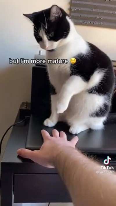 I&rsquo;ll shake your hand