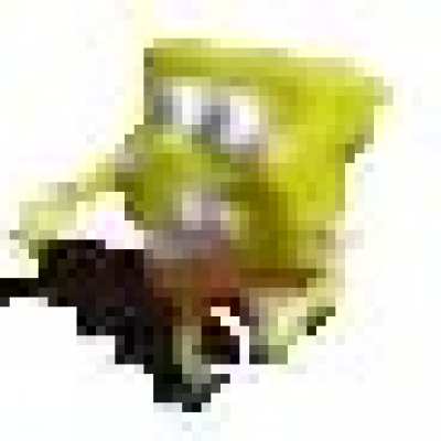 Spong