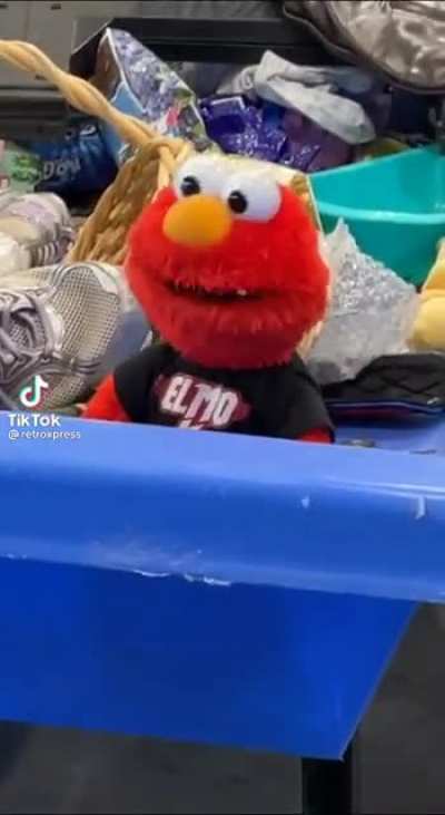 Finding elmo at a thrift store