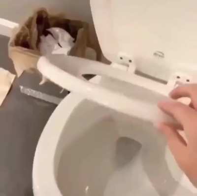 Explosive diarrhoea