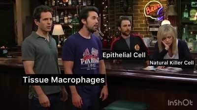 &acirc;The Gang Gets Malignant&acirc;