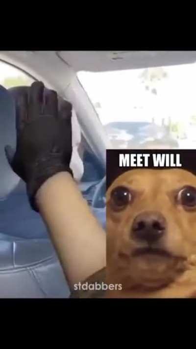o.o