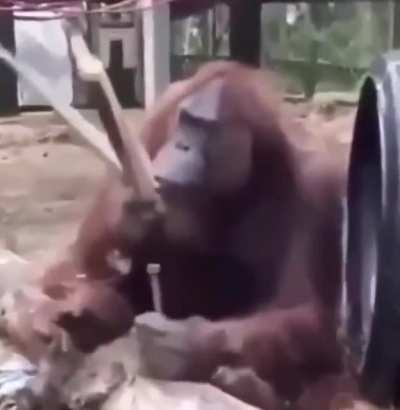how