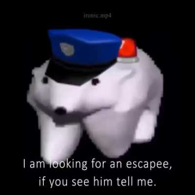 Oh shit