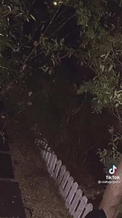 @oldfogeyjohn posted this to TikTok anybody have any idea what this is?