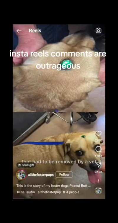 I&rsquo;m 15 and this is yeet